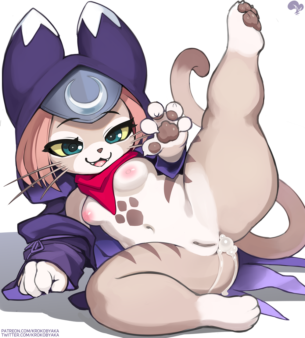 Porns Cat