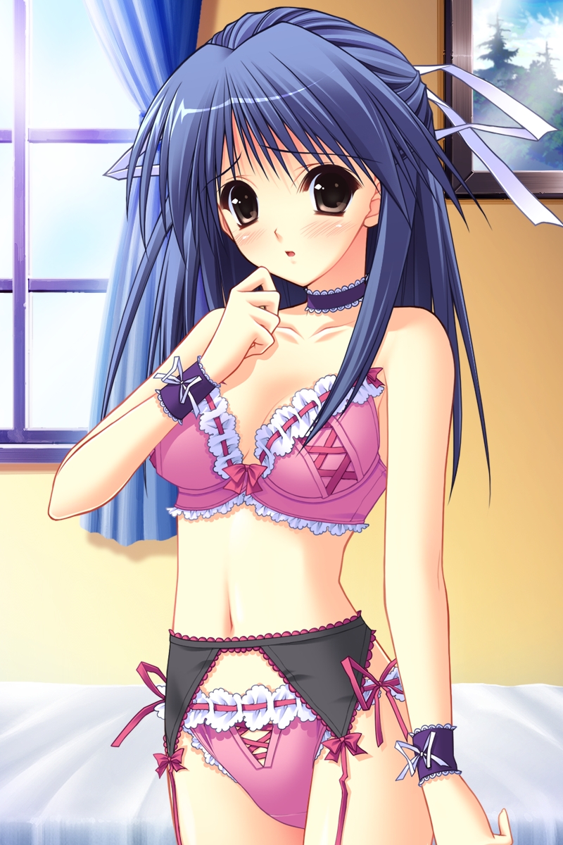 Garter Belt Hentai