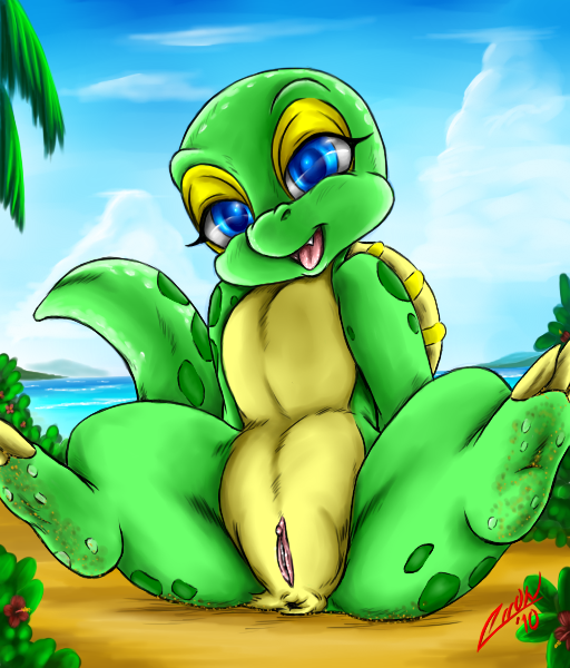 Turtle Fish Paint Hentai