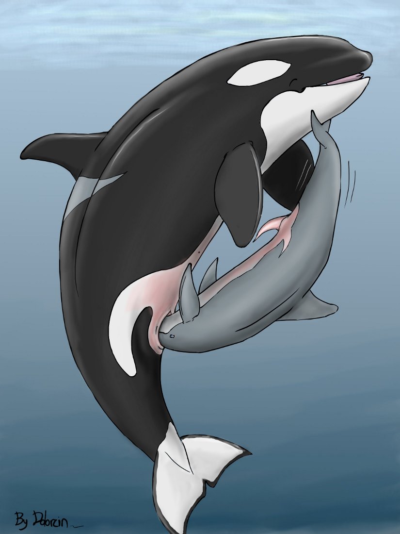 The Big ImageBoard (TBIB) - animal dolorcin dolphin female feral male mamma...