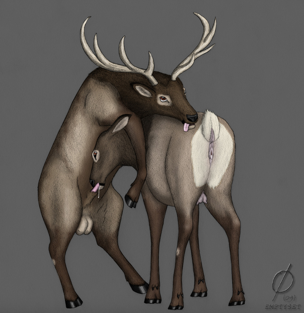 deer emptyset fellatio female feral hooves horns interspecies male oral ora...