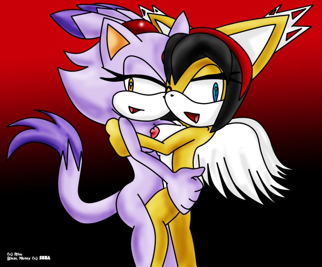 Honey The Cat Hentai