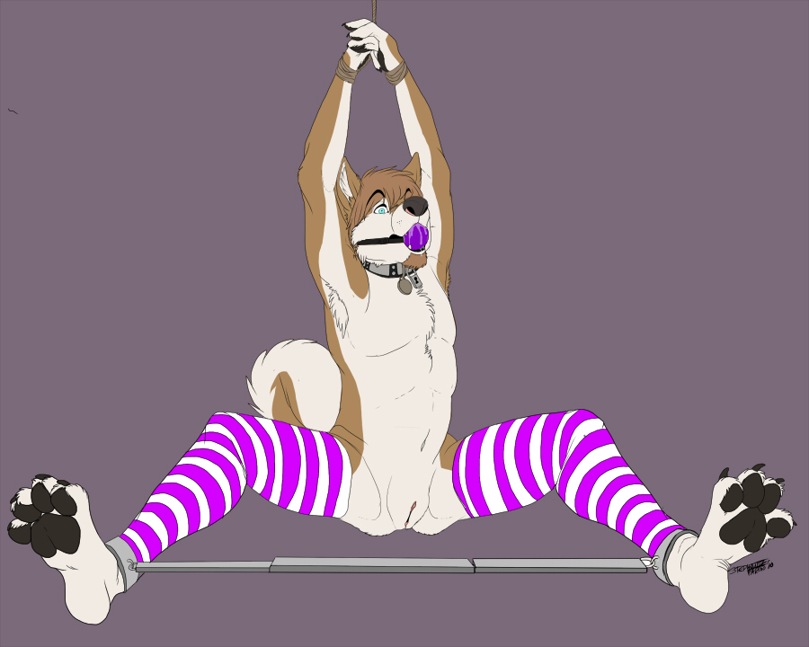 Spreader Bar Hentai