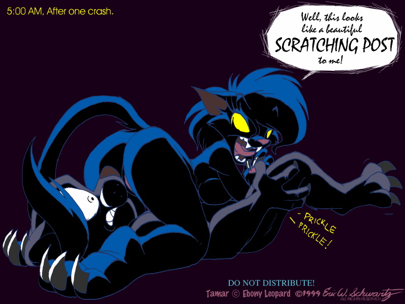The Big ImageBoard (TBIB) - black cat butt cat darke katt eric schwartz fel...