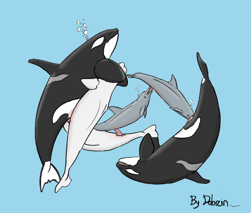anatomically_correct animal beluga bubble cetacean dolorcin dolphin erectio...
