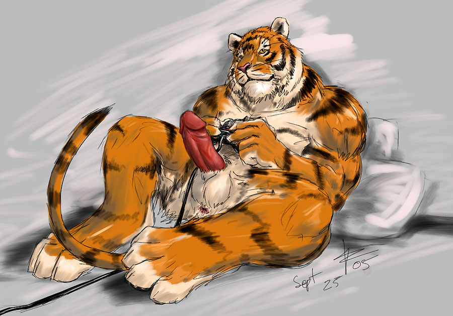 sex-pucture-tiger-cock