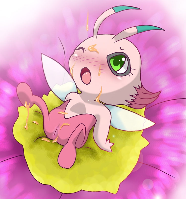Celebi Hentai