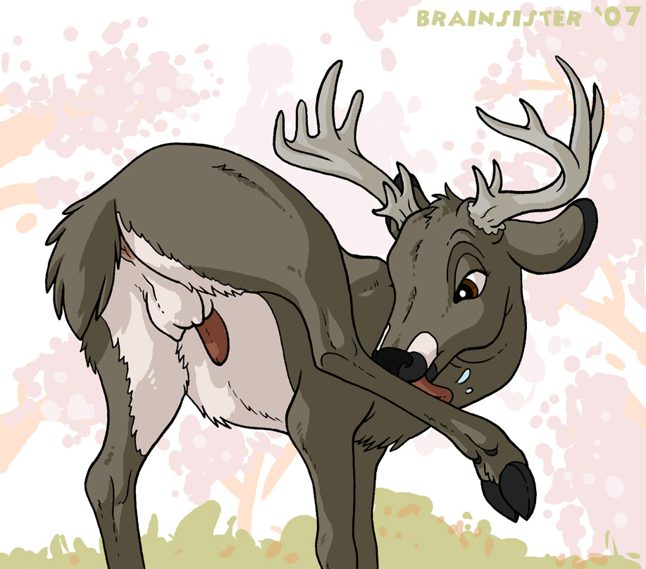 The Big ImageBoard (TBIB) - anus brainsister cervine deer feral hooves male...