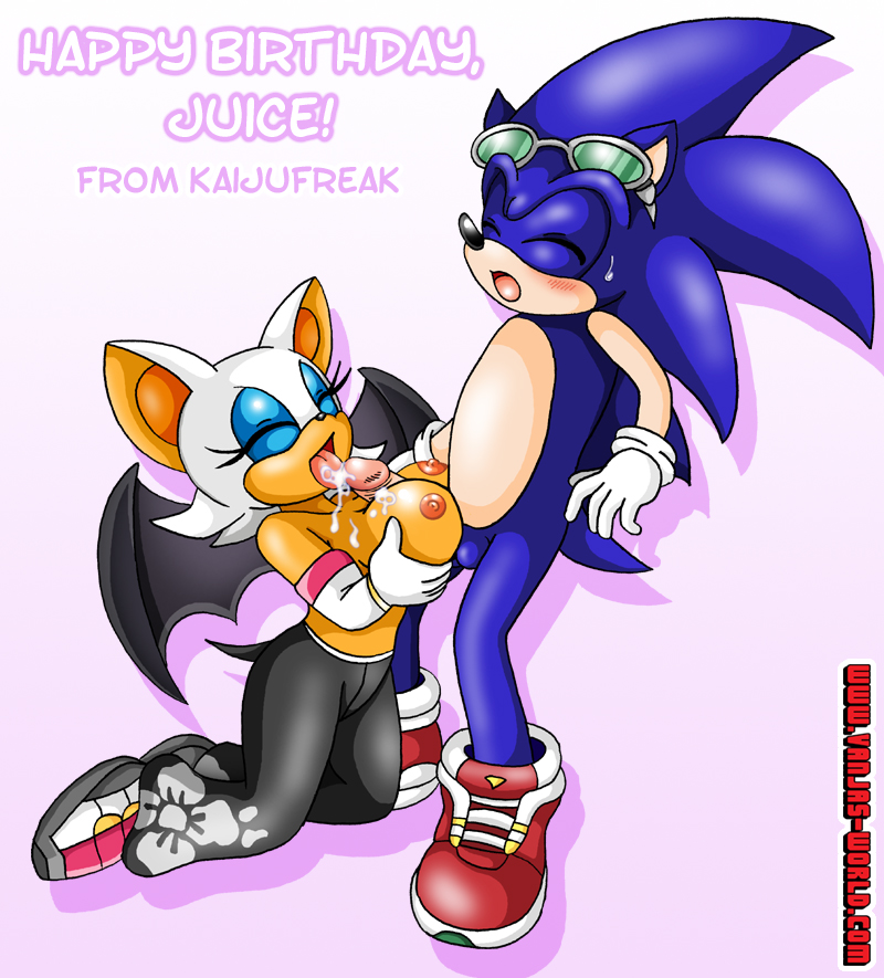 Sonic And Rouge Hentai