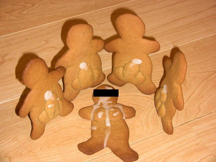 The Big ImageBoard (TBIB) - cookie food gingerbread man inanimate tagme 173...