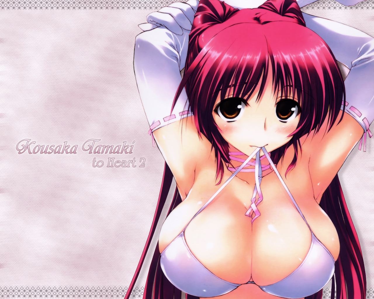 Sexy Fanservice