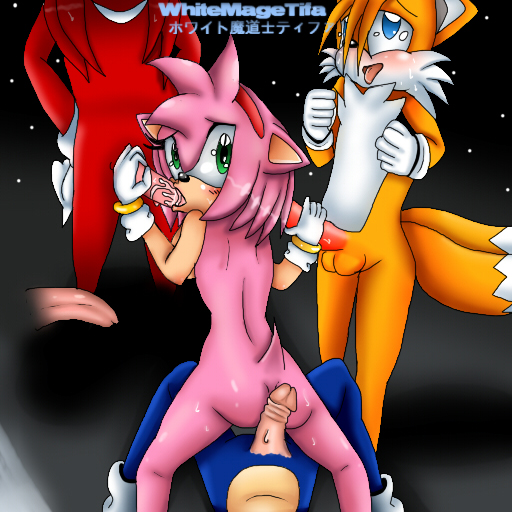 The Big ImageBoard (TBIB) - amy rose knuckles the echidna sonic team sonic ...