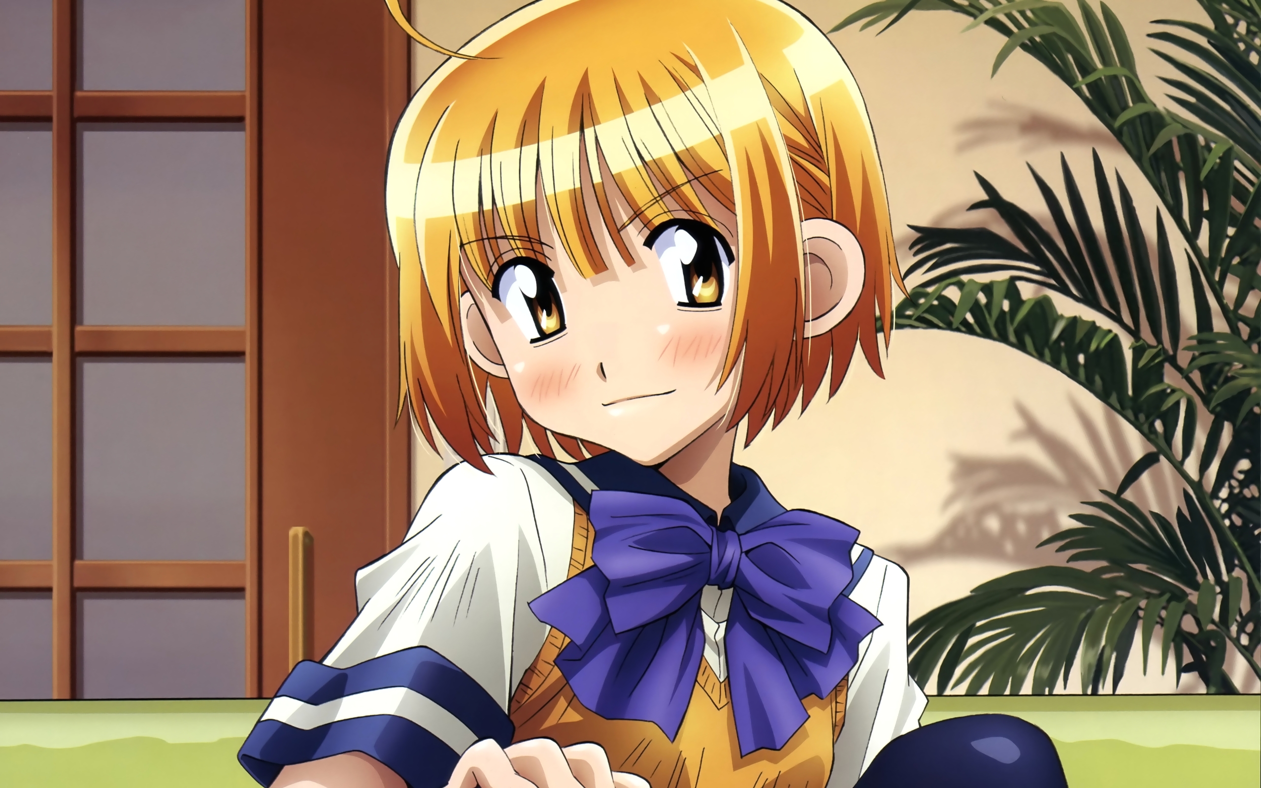 Совсем совсем начала. Совсем совсем начала. Тленность бытия. Сидишь молчишь всякую фигню про меня думаешь. Добрые дела.