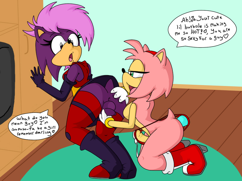 Sonia the hedgehog hentai