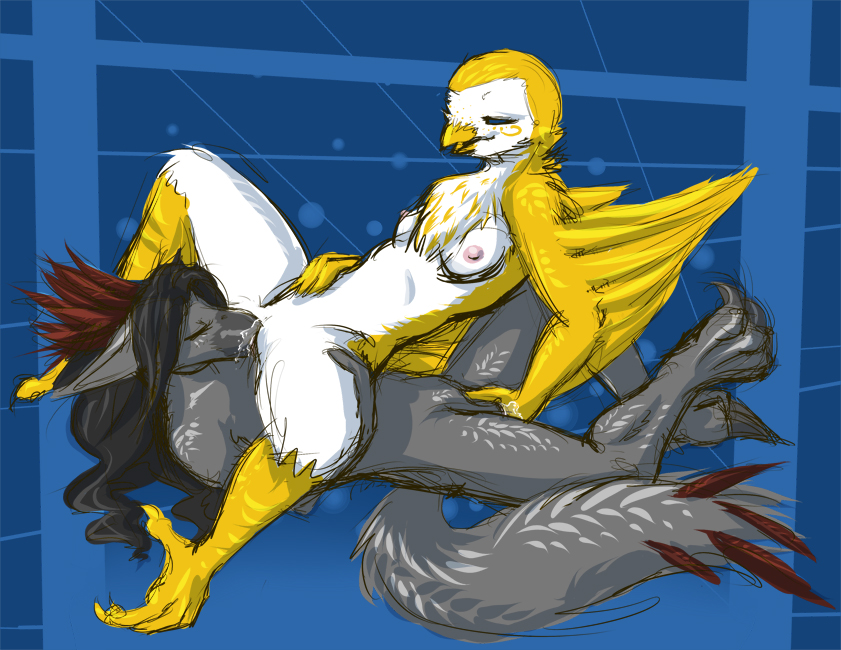 Avian Porn