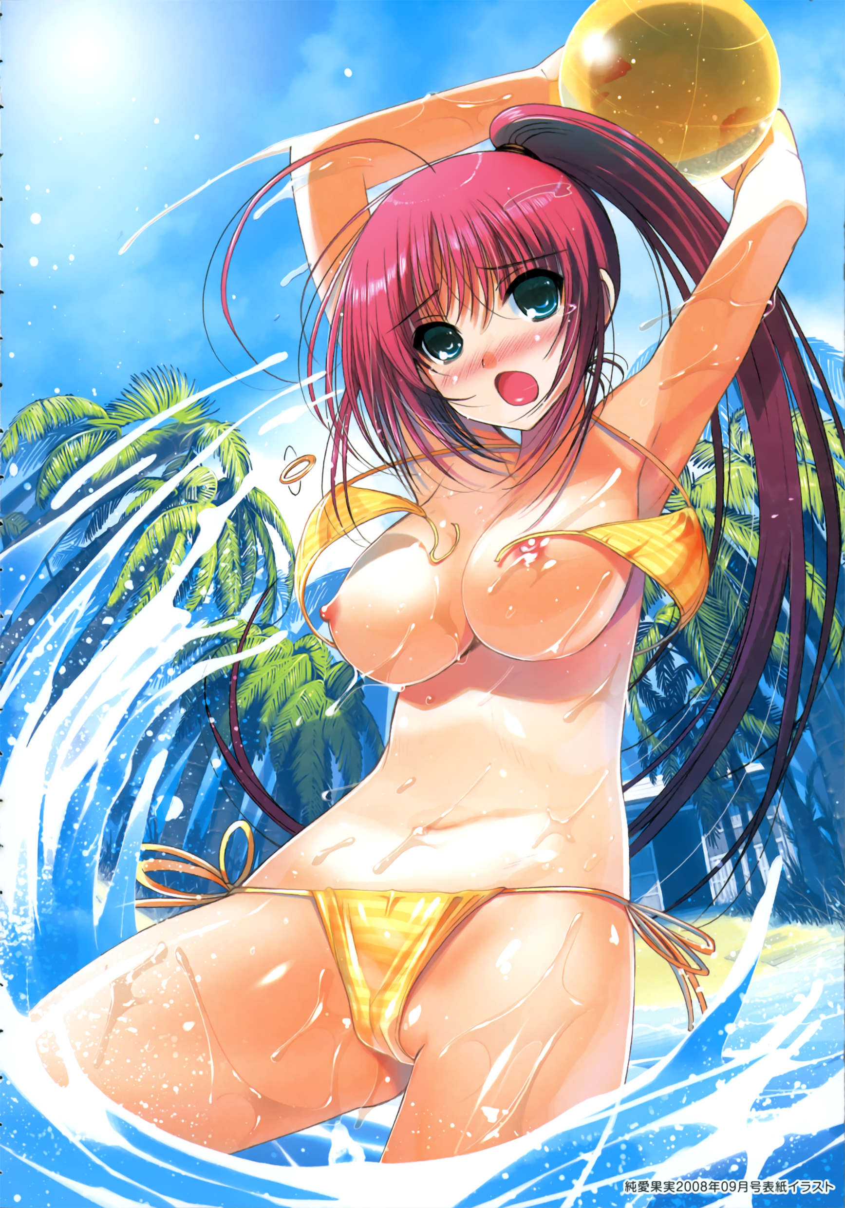 The Big ImageBoard (TBIB) - bikini breasts kiya shii nipples swimsuits ward...