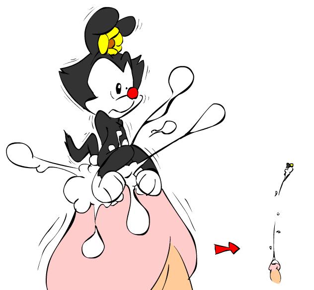 Animaniacs Nurse Hentai