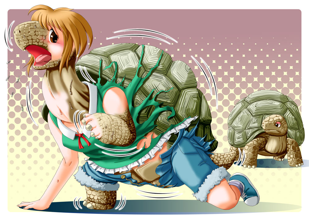 Turtle Fish Paint Hentai
