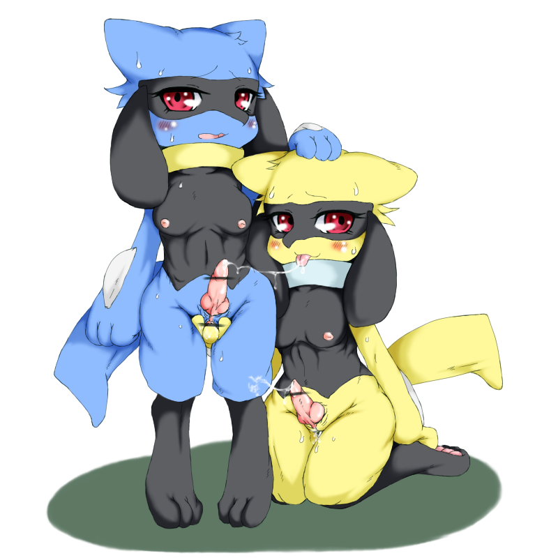 Riolu Hentai