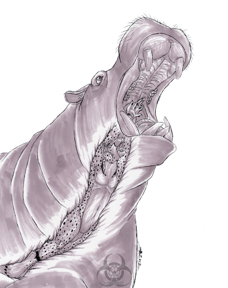 Codie Vore