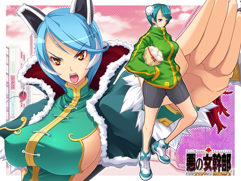 Seigi No Henshin Heroine O Sasaeru Ore To Aku No Onna Kanbu