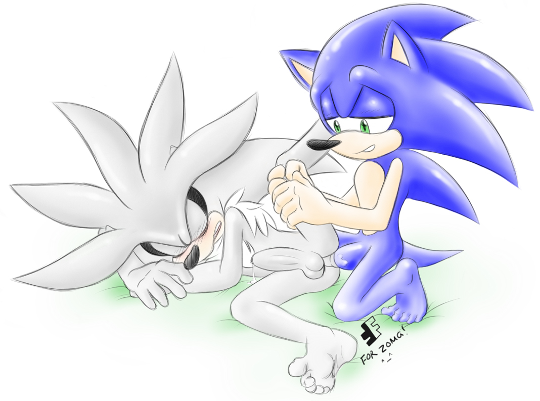 The Big ImageBoard (TBIB) - fakerface silver the hedgehog sonic team sonic the...