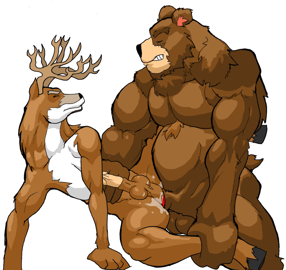 adult-muscled-bear