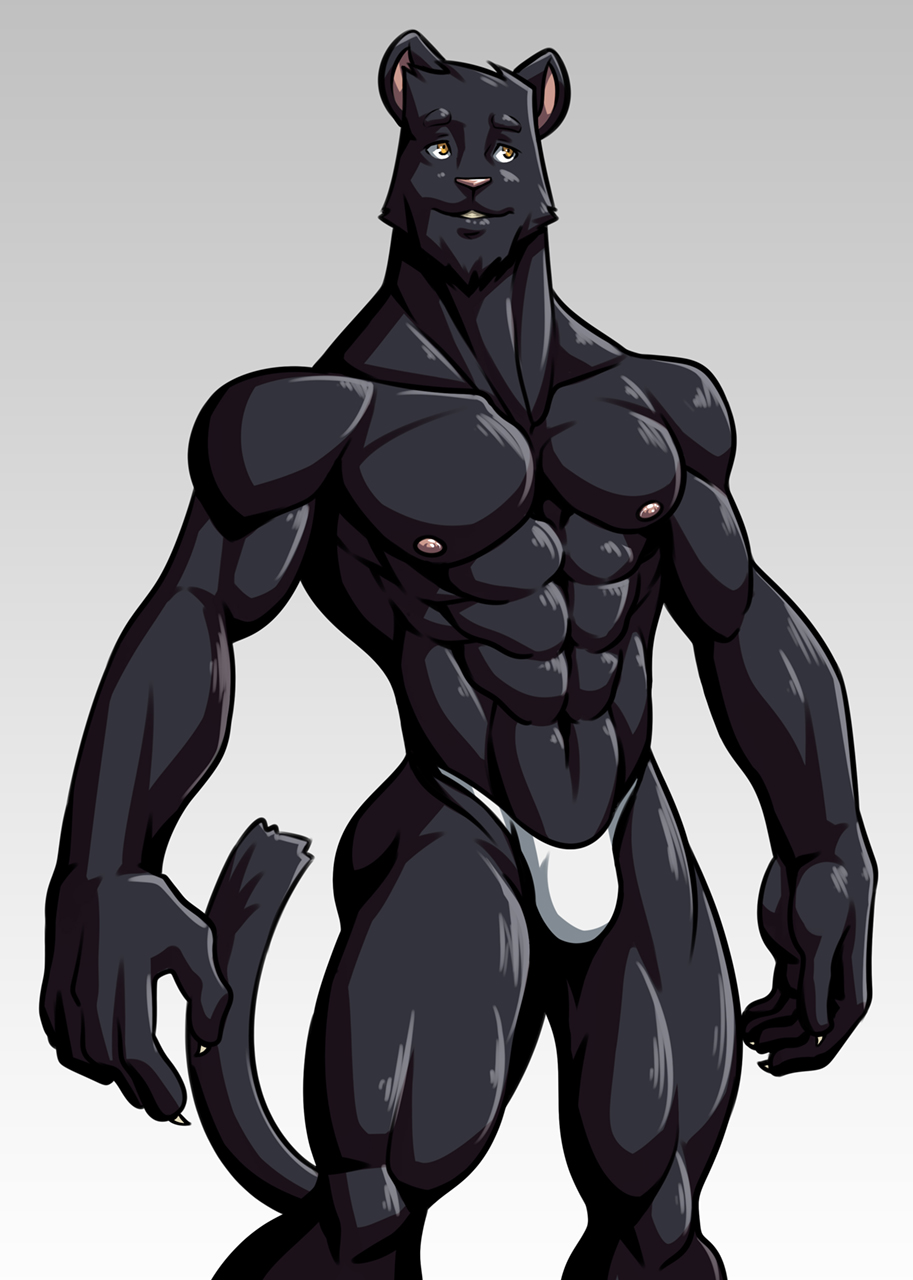 Braford Patreon