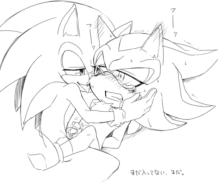 Sonic Ehentia