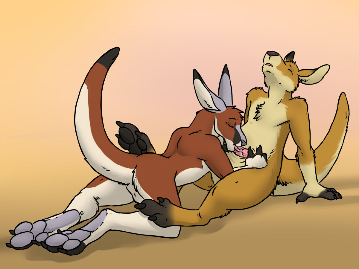 Kangaroo Hentai
