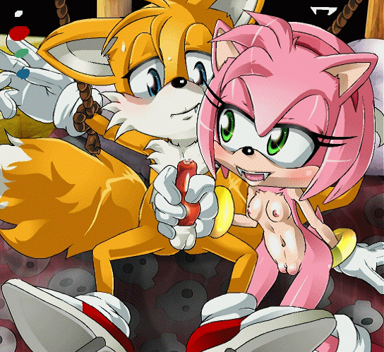 The Big ImageBoard (TBIB) - amy rose animated bcs sonic team tails 3208839.