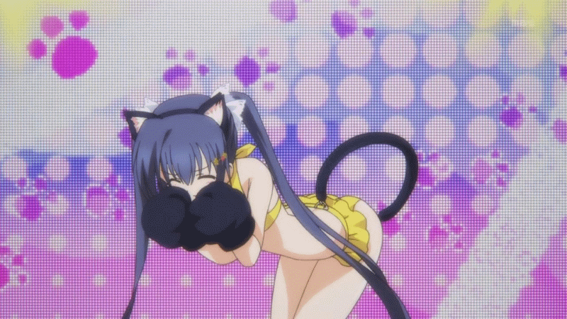 Anime neko tail gif