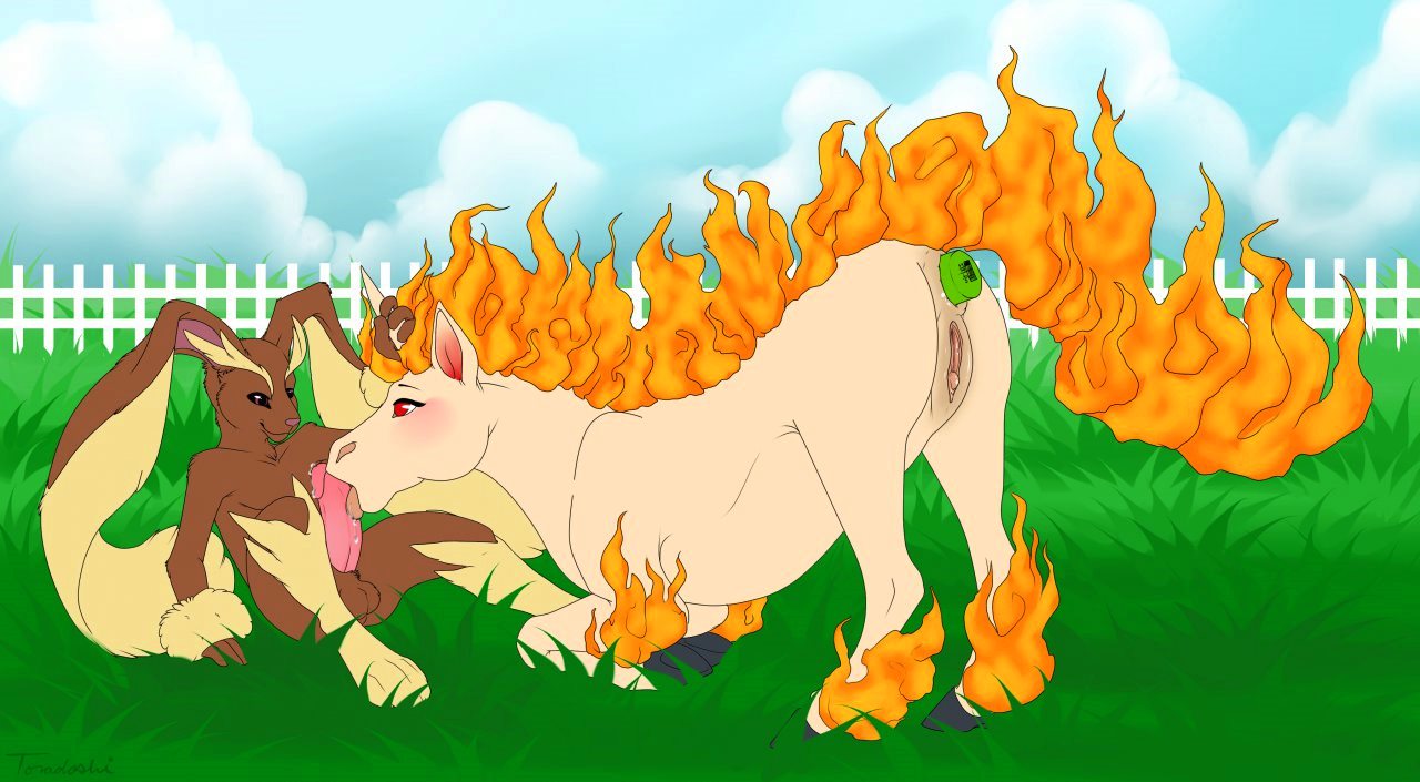 Rapidash Hentai