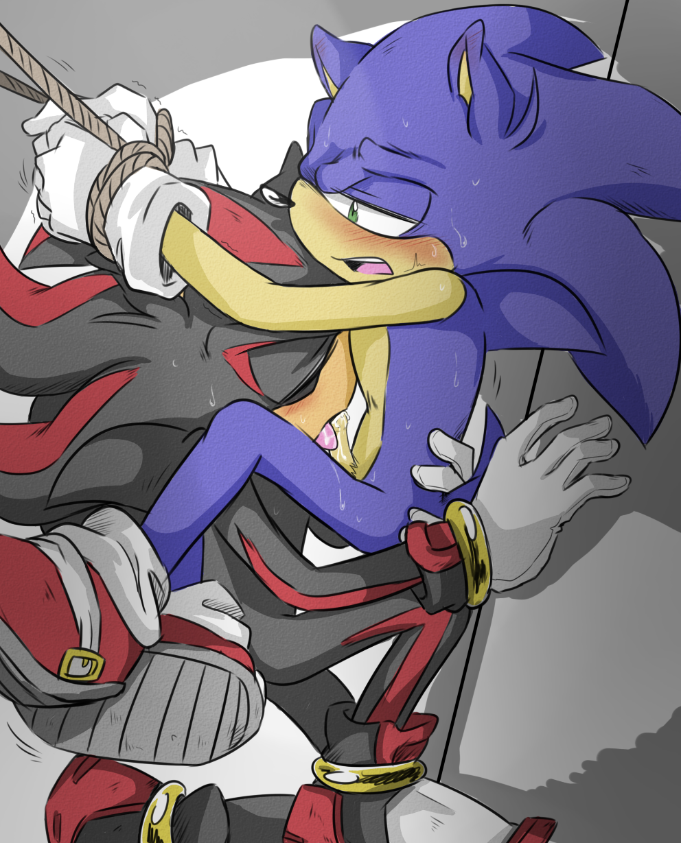 Sonic the hedgehog porn videos