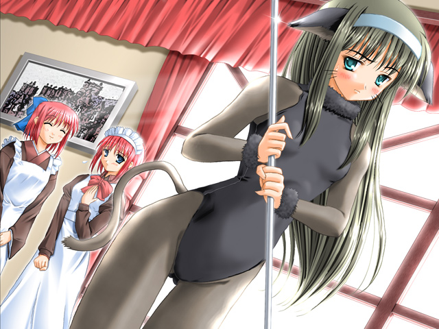 Tsukihime Hentai