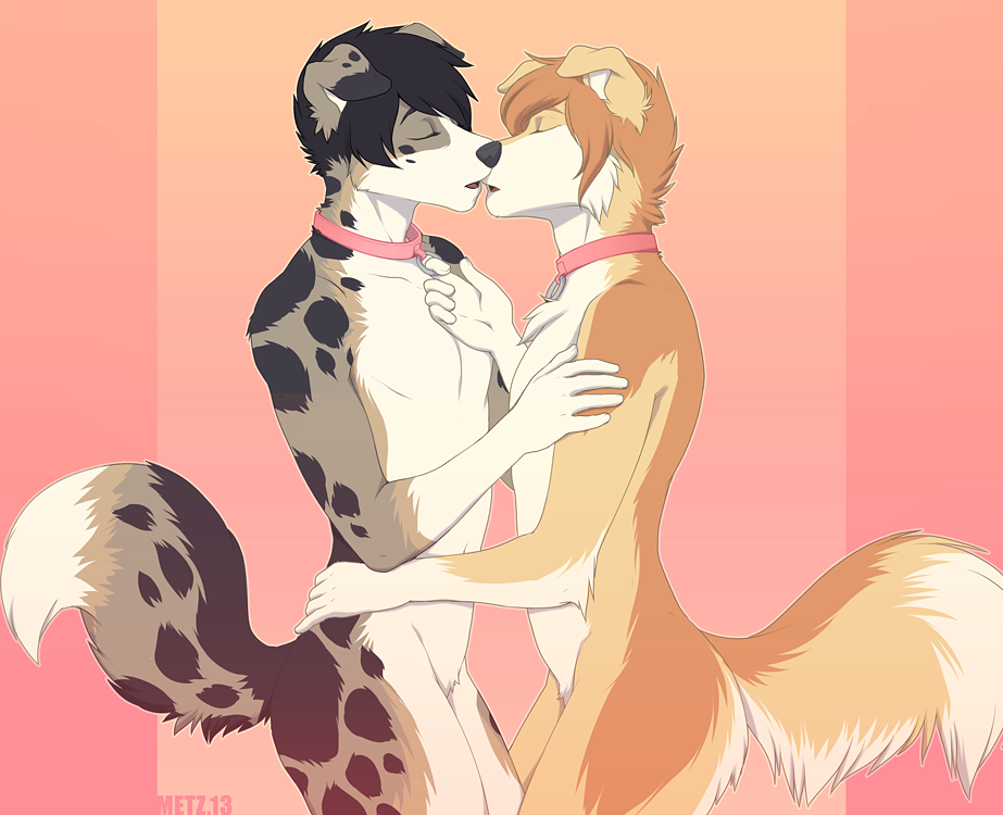 brown_fur canine collar couple cute dark_hair dog embracing gay hair jesse kissing...