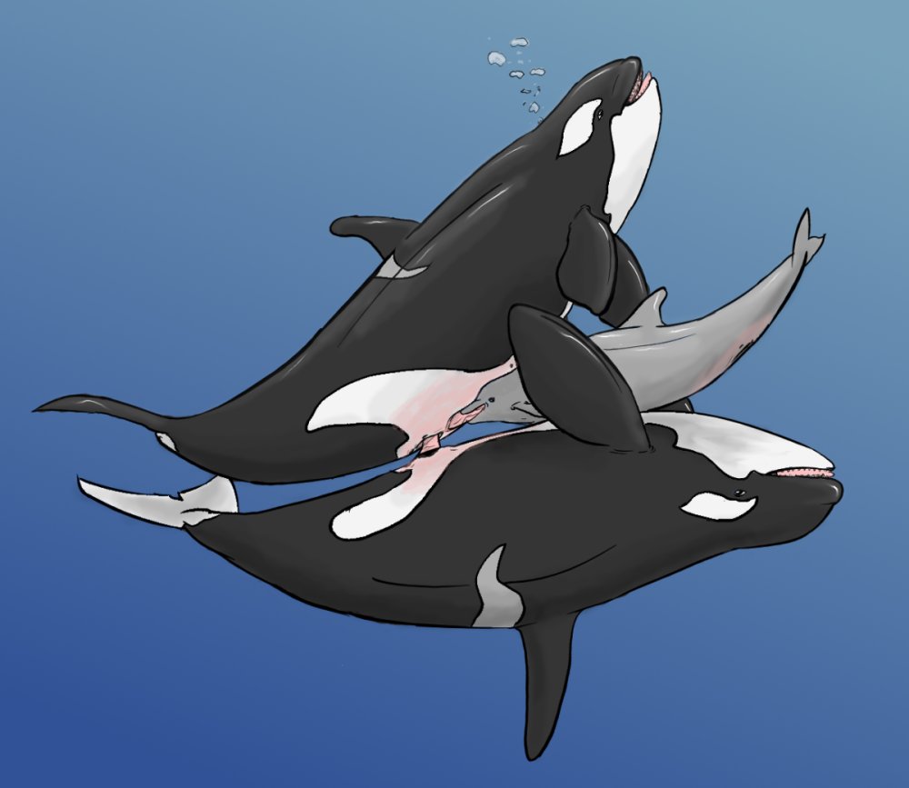 anatomically_correct cetacean dolorcin dolphin erection fellatio female fer...
