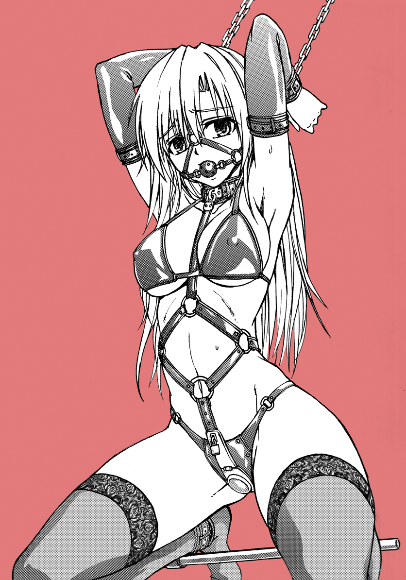 Spreader Bar Hentai