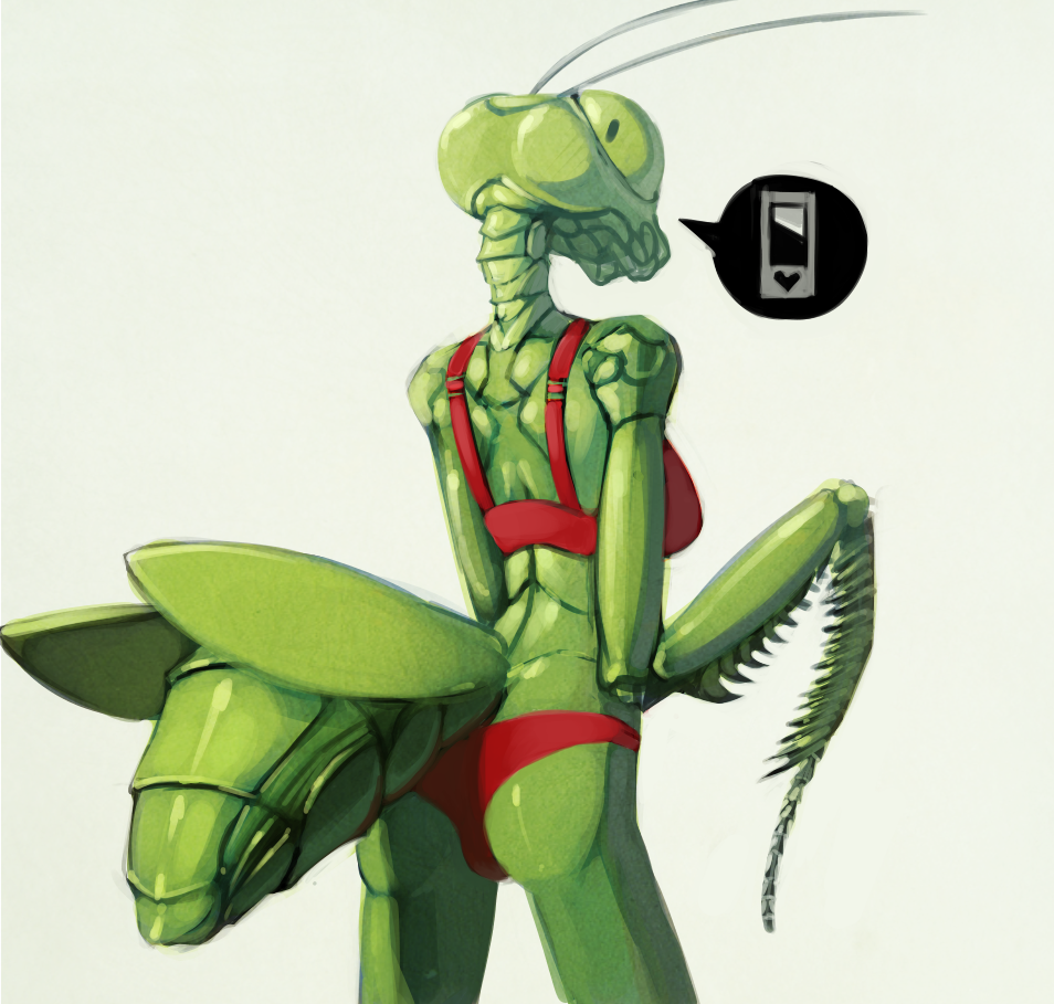 The Big ImageBoard (TBIB) - antennae anthro arthropod bra clothing female g...