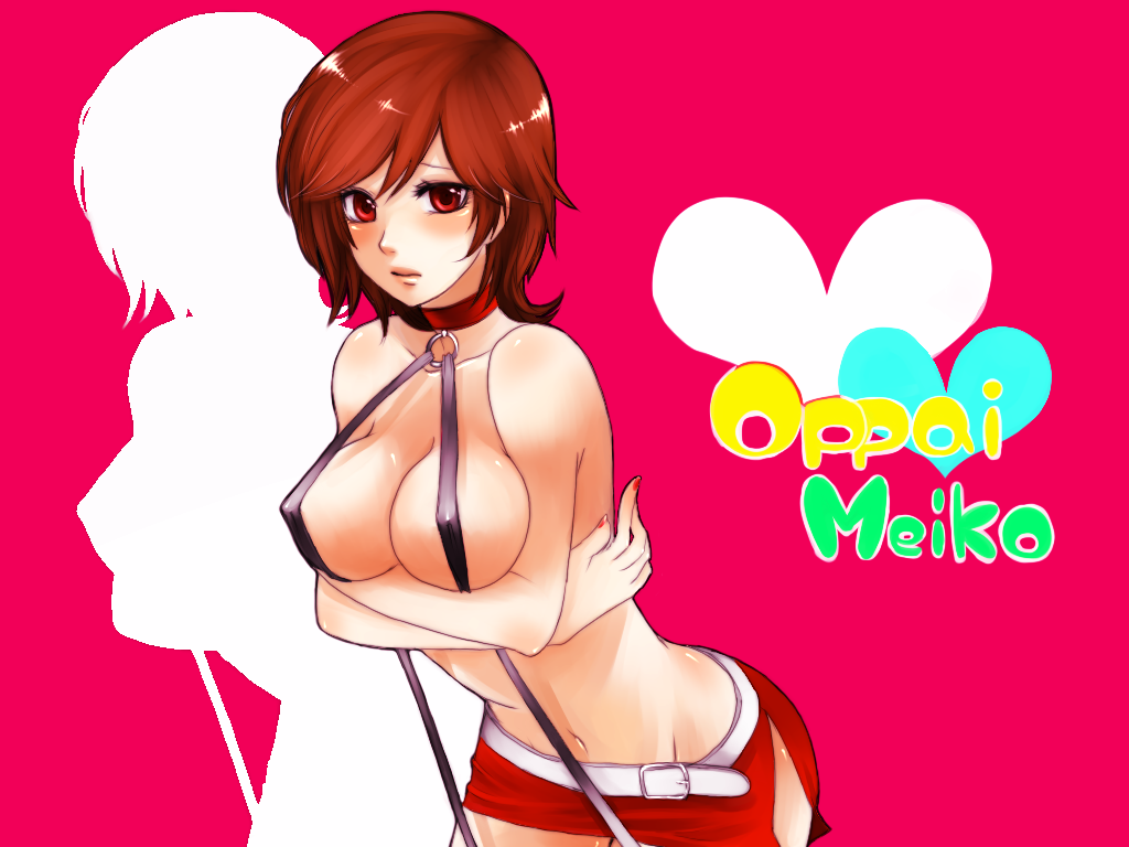 C.Meiko