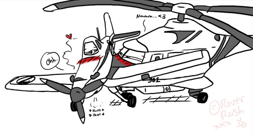 Gay historic plane
