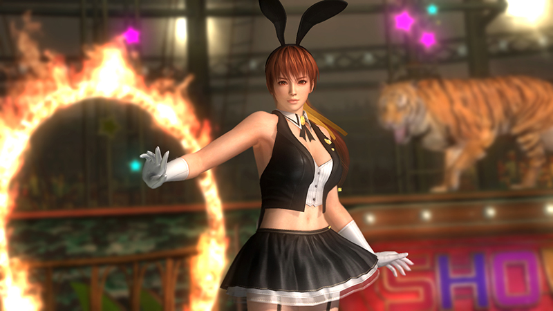 The Big ImageBoard (TBIB) - dead or alive dead or alive 5 kasumi (doa ...