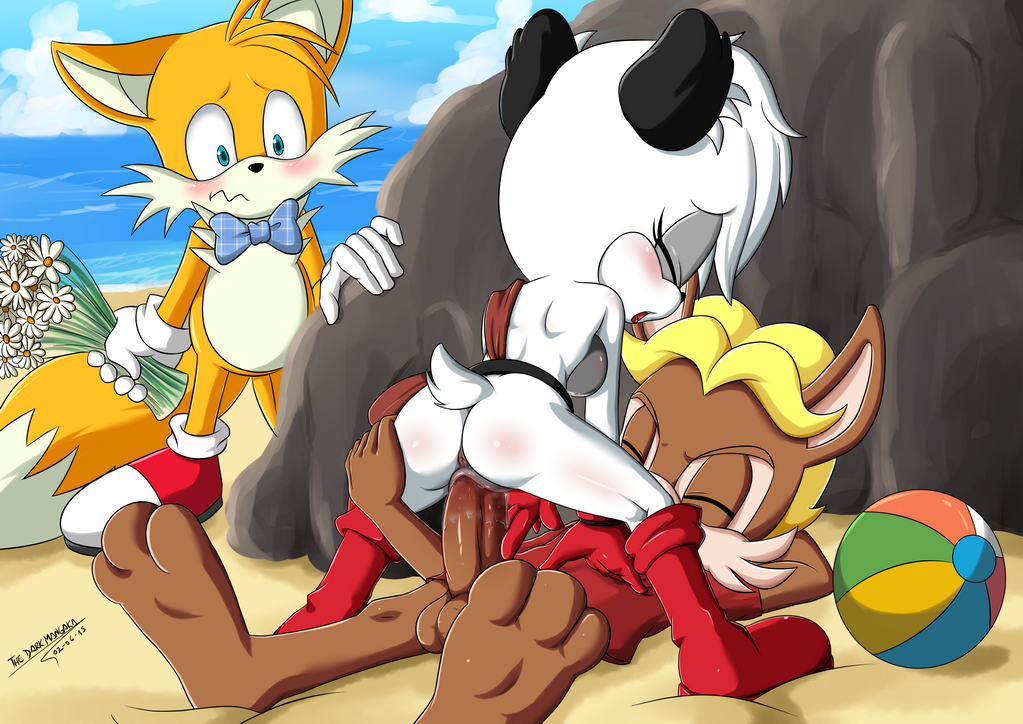 ntr penetration penis pussy seaside sex sonic(series) sonic_the_hedgehog ta...