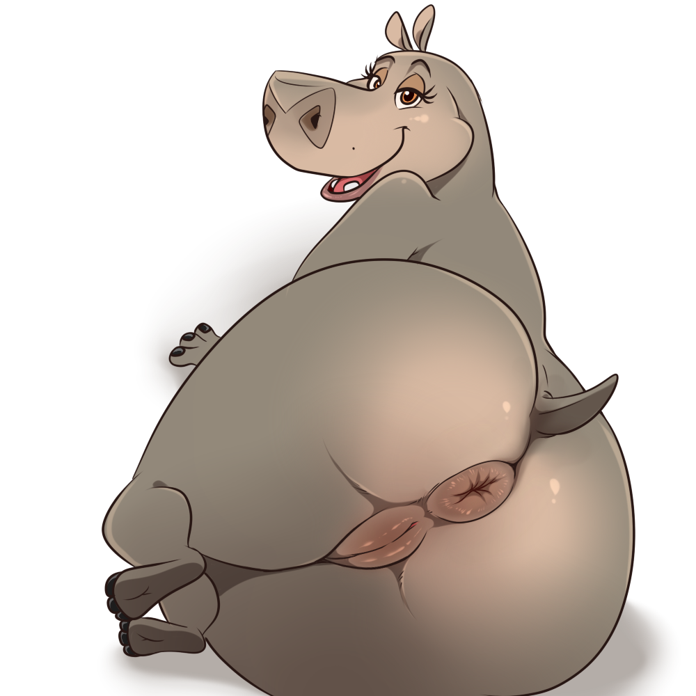 anus chubby female gloria(madagascar) hippopotamus lonbluewolf madagascar m...