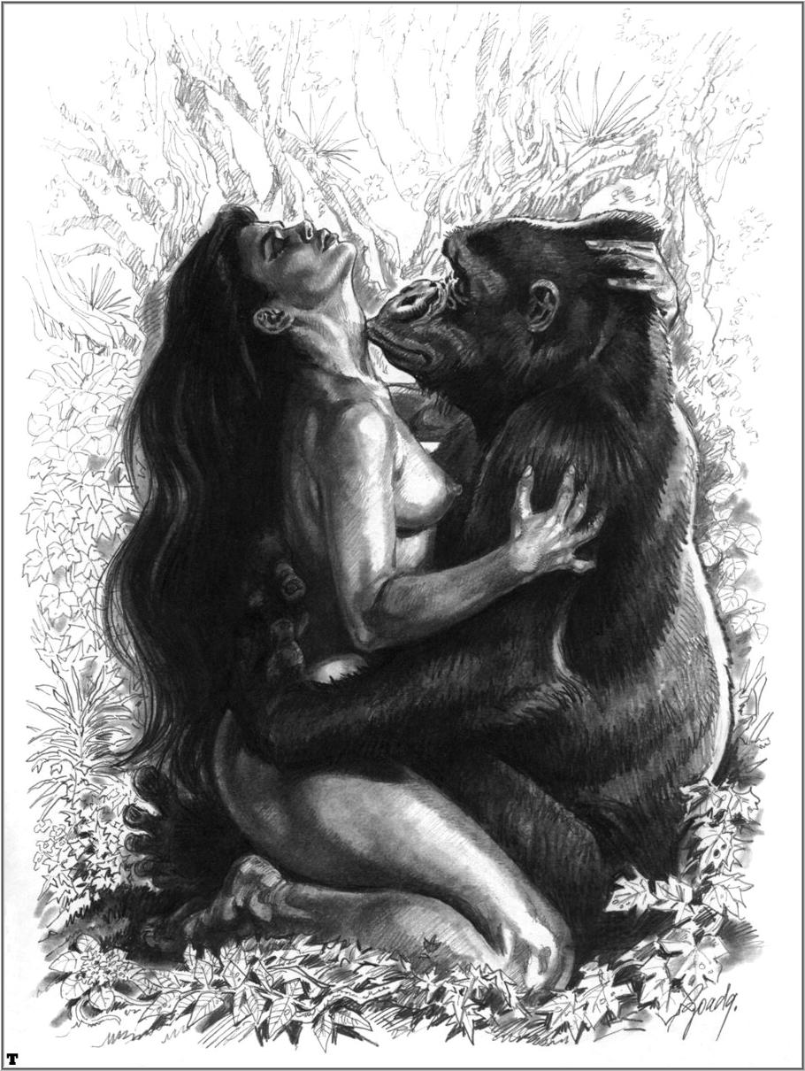 Erotic Monkey Akron