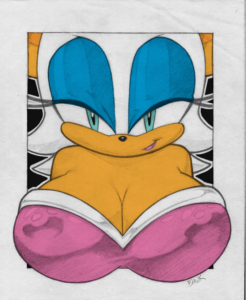 Rouge The Bat Doujinshi