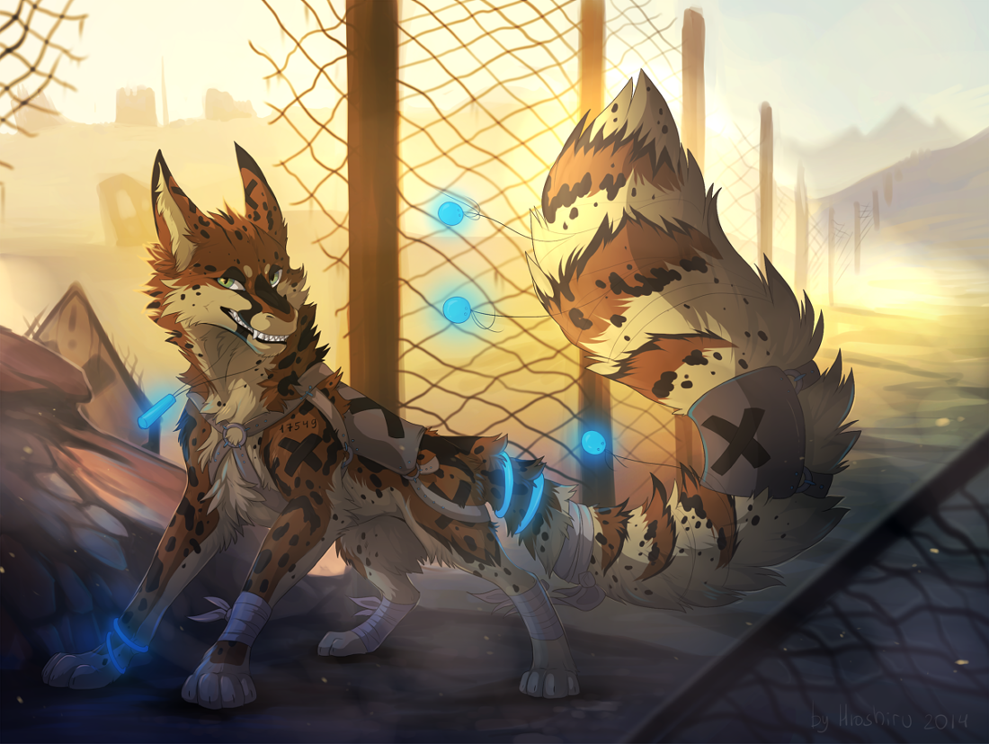 Hioshiru Paws The Big ImageBoard (TBIB) - 2014 4 toes ambiguous gender armor bandage ...