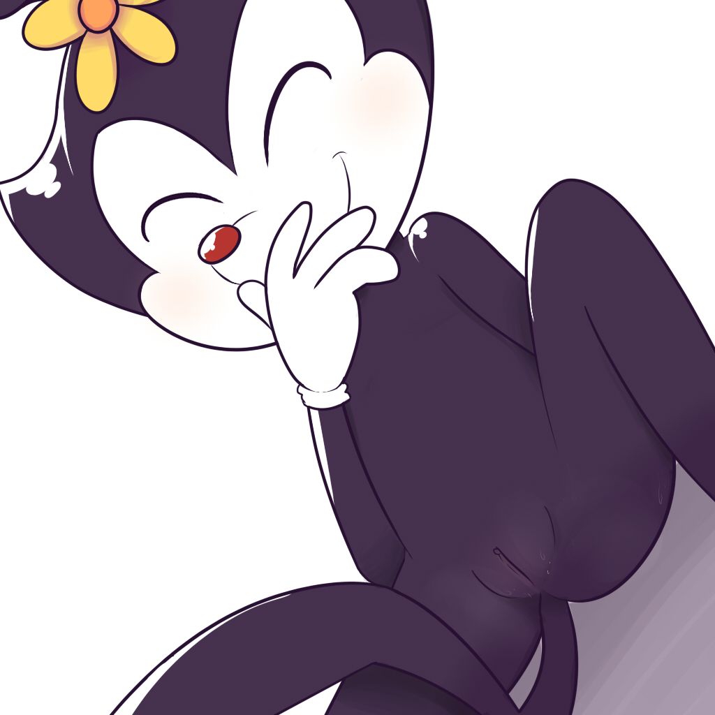 Animaniacs Nurse Hentai