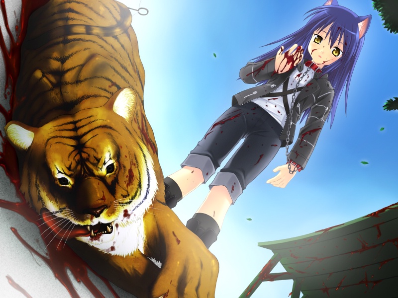 Assisst Wanko Hachi