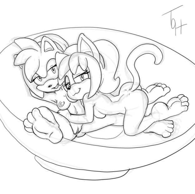 Honey The Cat Hentai